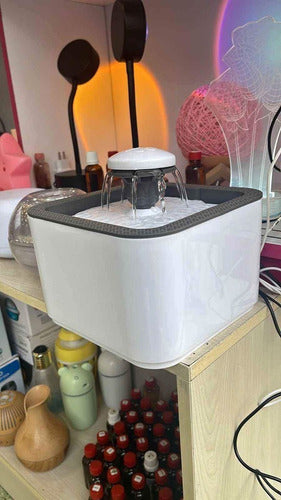 Fuente De Agua para mascotas Dog Cat ⚡