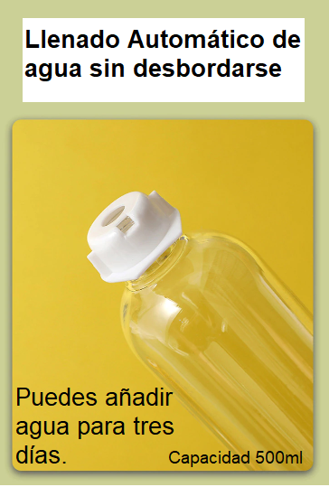 Comedero y Bebedero Automático para Gatos